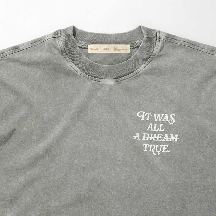 Camiseta Oversized Washed Dream - Gris