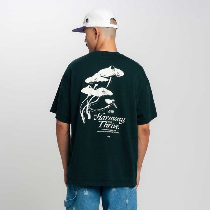 Camiseta Oversized Harmony True X Herb - Verde Pino