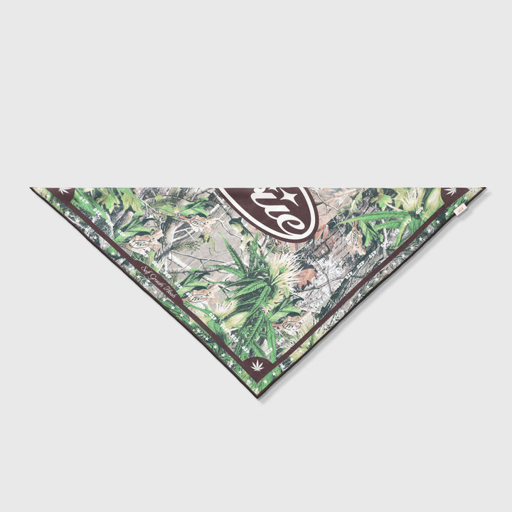 Self Growth Bandana - Green